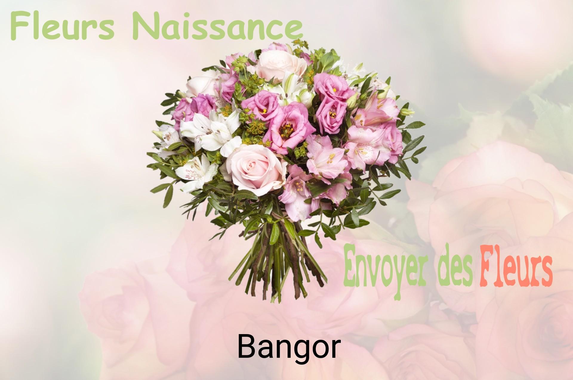 Bouquet de fleurs de naissance livré à Bangor