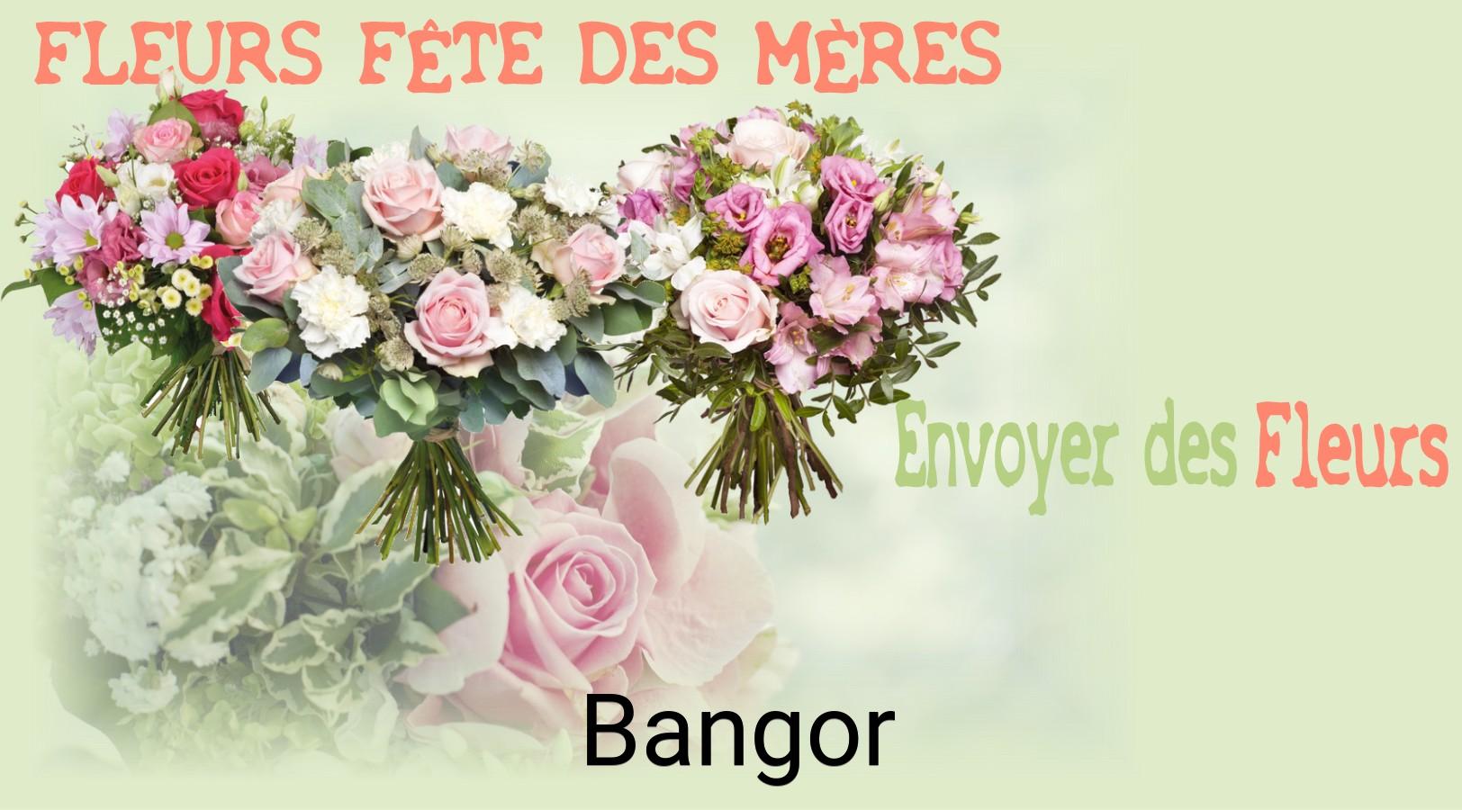 Bouquet de Fête des Mères livré à Bangor