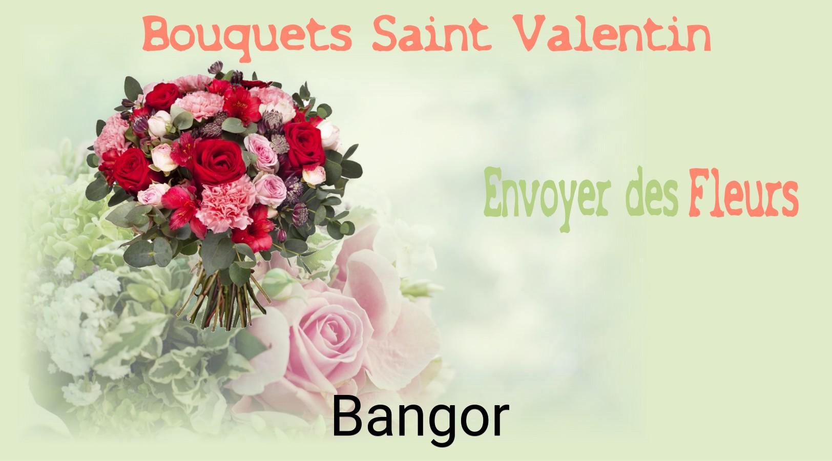 Roses de Saint-Valentin livrées à Bangor